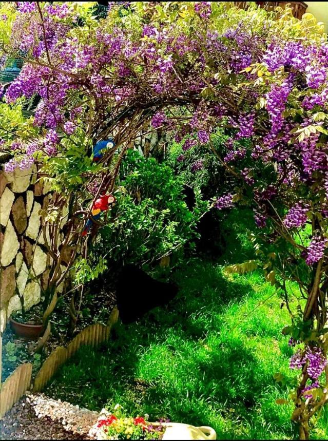 Appartamento Bella Vista Canal San Bovo Esterno foto
