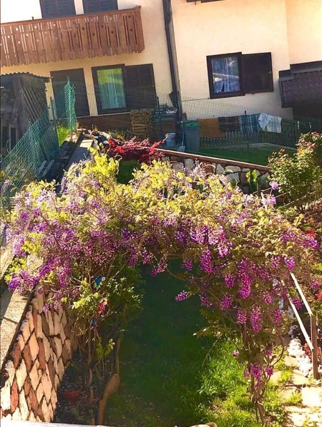 Appartamento Bella Vista Canal San Bovo Esterno foto