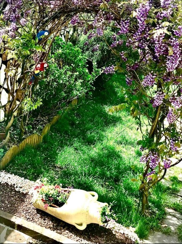 Appartamento Bella Vista Canal San Bovo Esterno foto